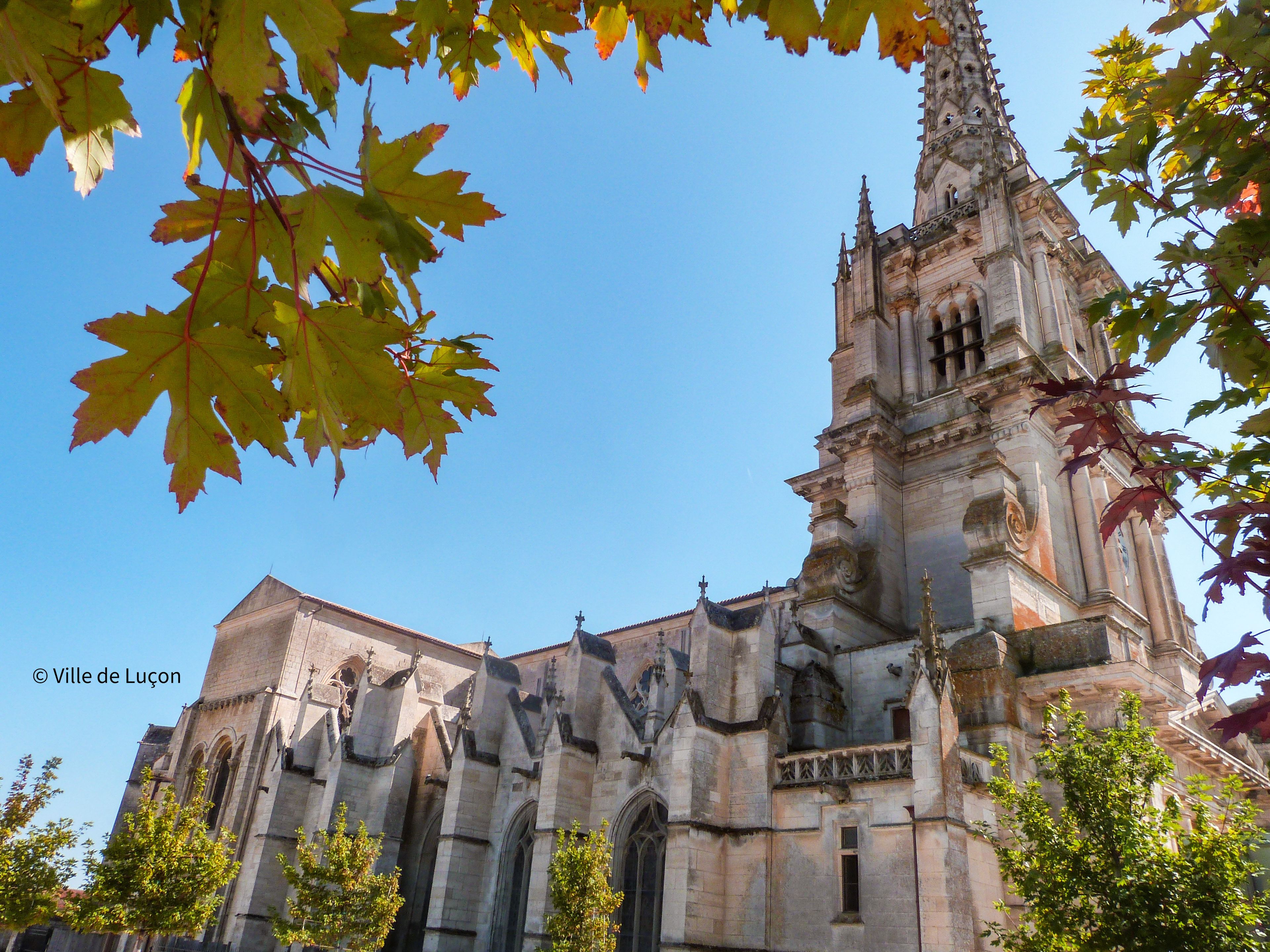 Visite de la cathédrale et du cloître