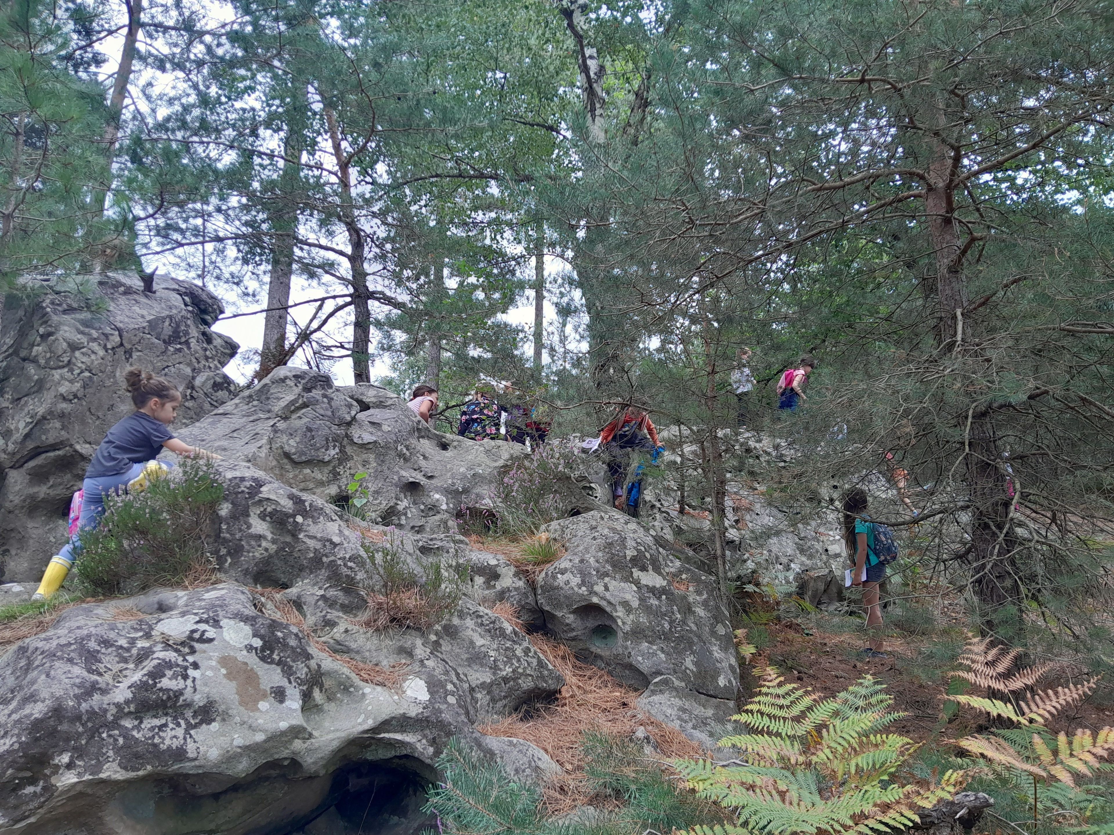 Bois de l'Epars