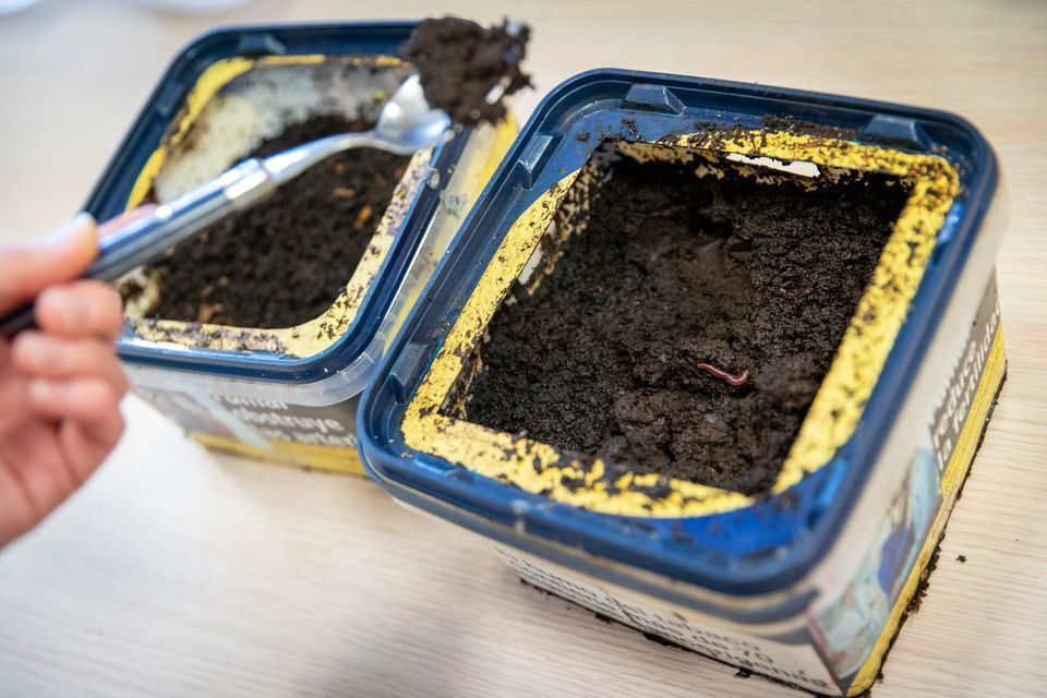 Building a Worm Composter with Au Ras du Sol