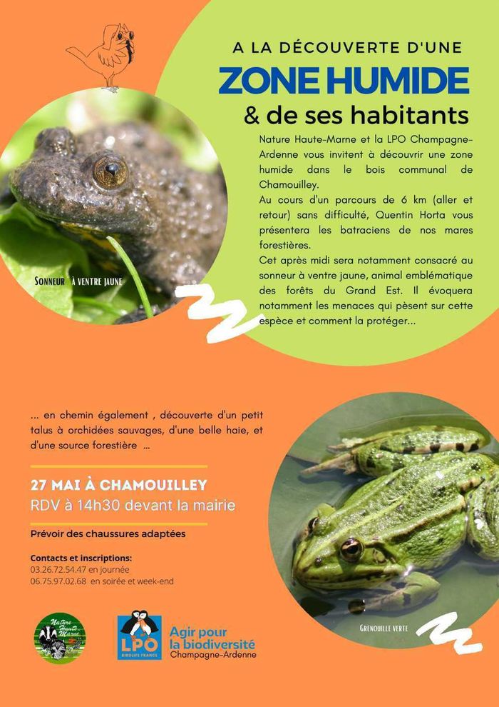 A la découverte d'une zone humide et de ses habitants