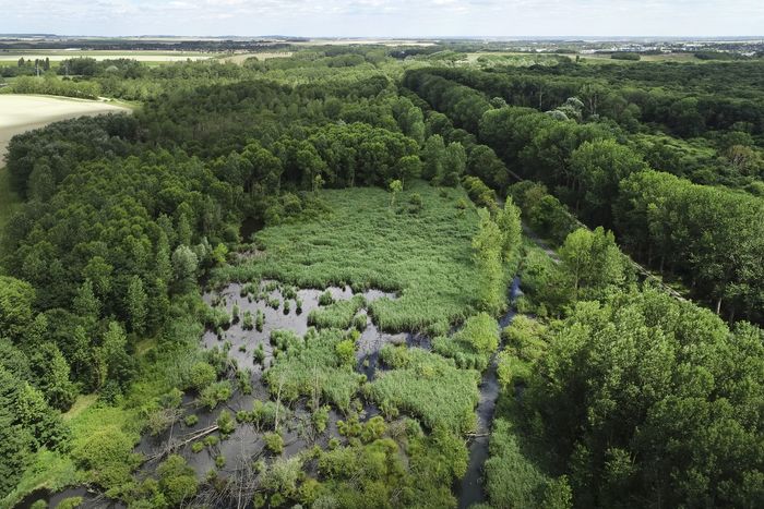 Sortie coorganisée par Île-de-France Nature