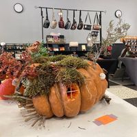 Fête de la Courge