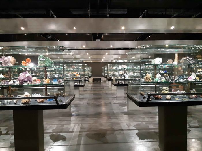 Visite du musée des minéraux de Sorbonne Université