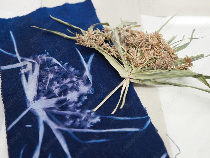 Cyanotype