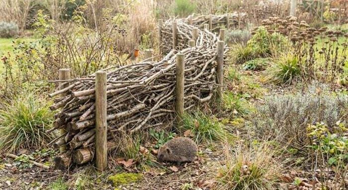 Viens empiler des branches avec nous. Promis, personne ne jugera ta technique !