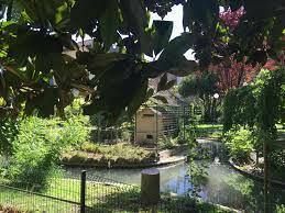 On aménage une mare au jardin public !