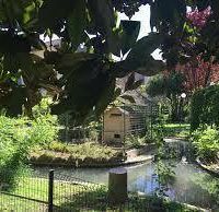 On aménage une mare au jardin public !