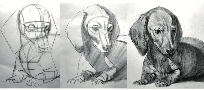 Mon animal en dessin