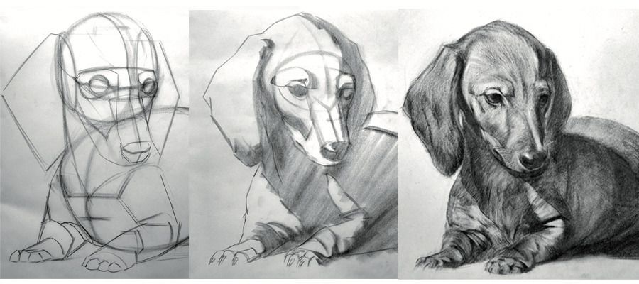 Mon animal en dessin