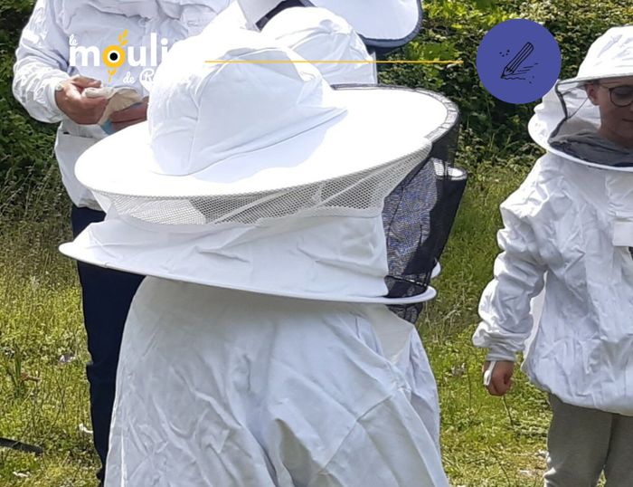 Découverte du monde des abeilles