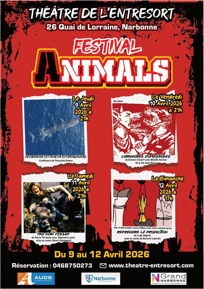 Festival Animals - Reprendre la production