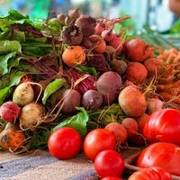 Marché alimentaire - le Cap d'Agde - Le Môle