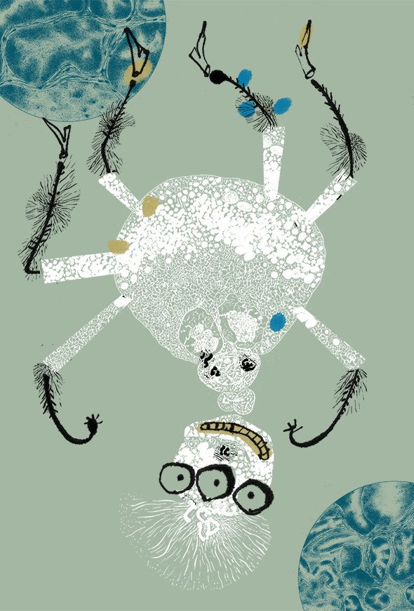7ecbd652027b45f59834da5fb39a0351.base.image.jpg
