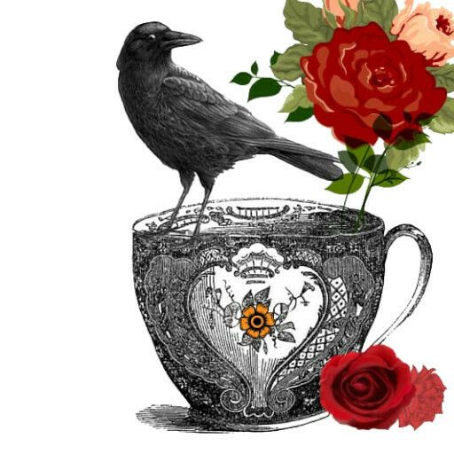 Café mortel : être jeune et endeuillé