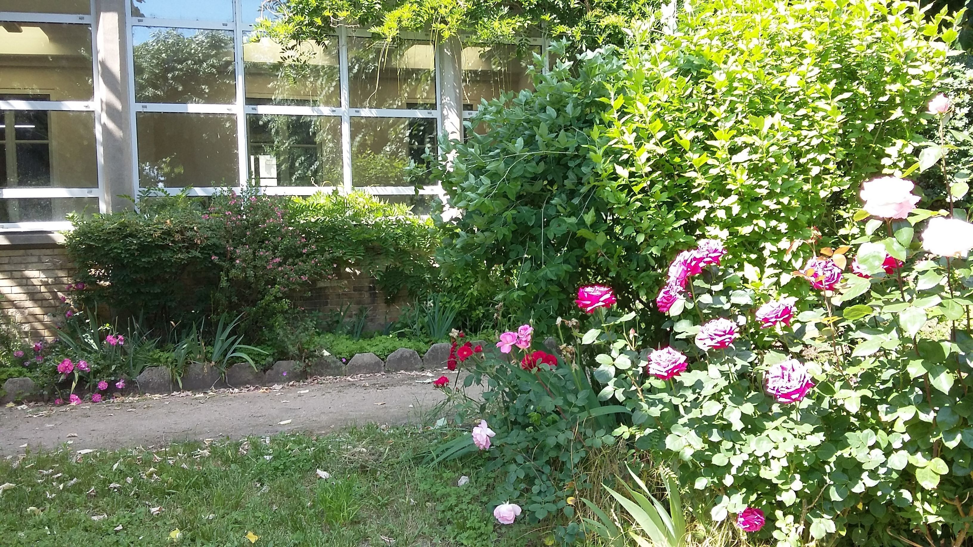 Promenade sur la terrasse Louis XI