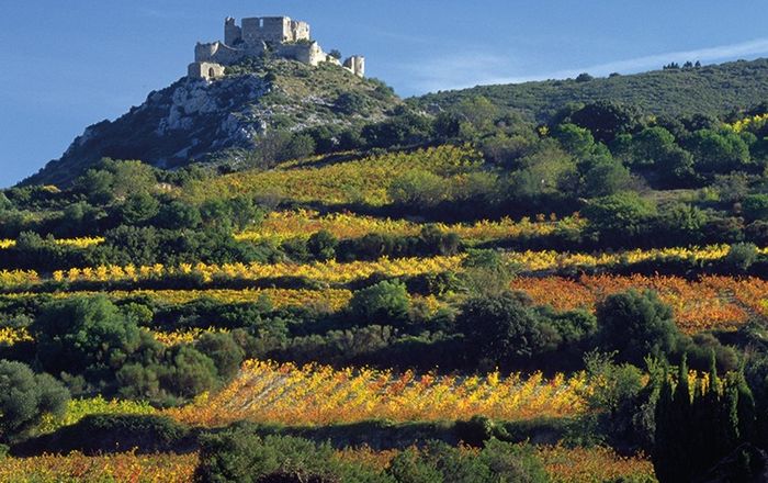 Atelier Vins du Languedoc