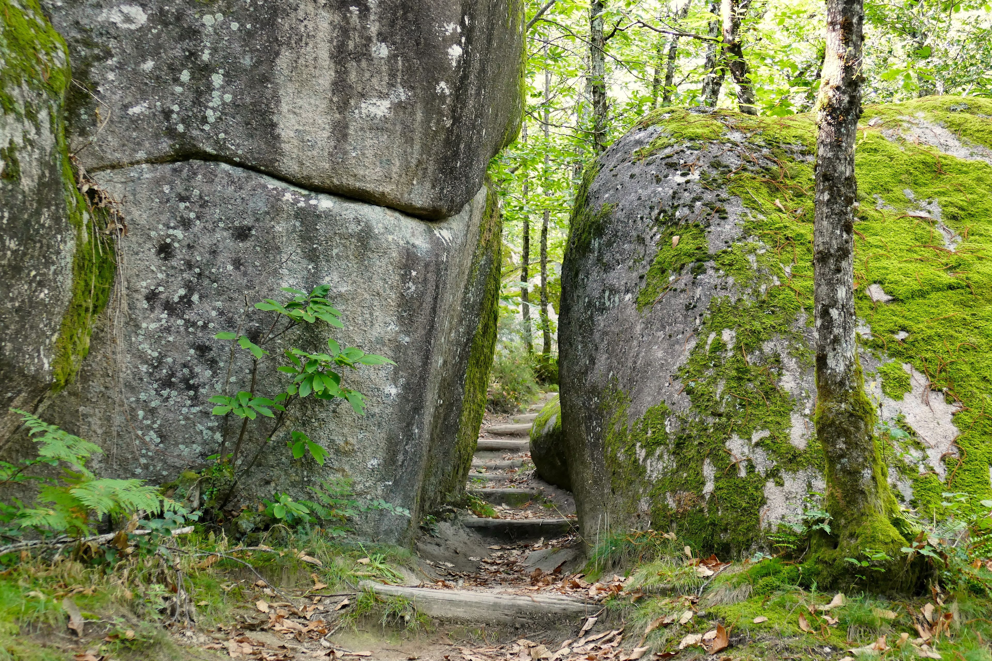 Journée randonnée et visite