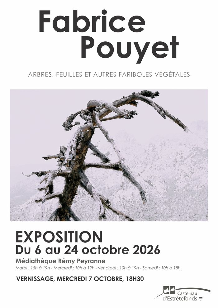 Arbres, feuilles et autres fariboles végétales