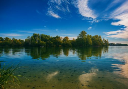 Au fil de l'eau : balade nature autour du lac de Bordeaux