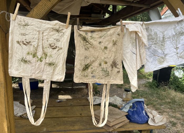 Venez réaliser des empreintes végétales sur tissue grâce aux plantes de notre jardin !