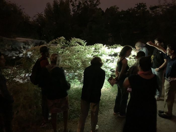 Grande soirée sur la biodiversité au Jardin botanique de Bordeaux
