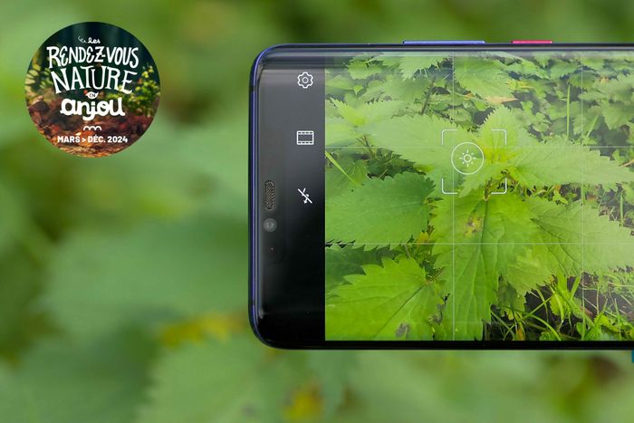 Smart’Plantouses