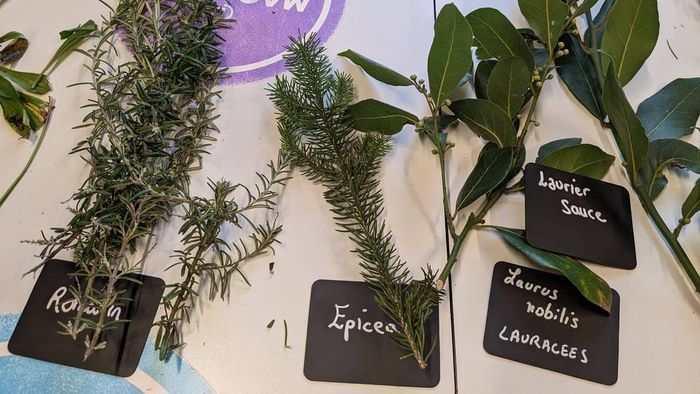 Prendre soin de soi en respectant la planète avec Nos Deux Mains