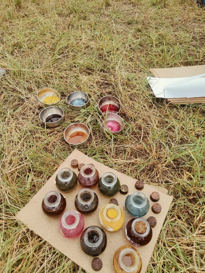 Un monde végétal haut en couleur : atelier créatif de découverte de plantes sauvages tinctoriales