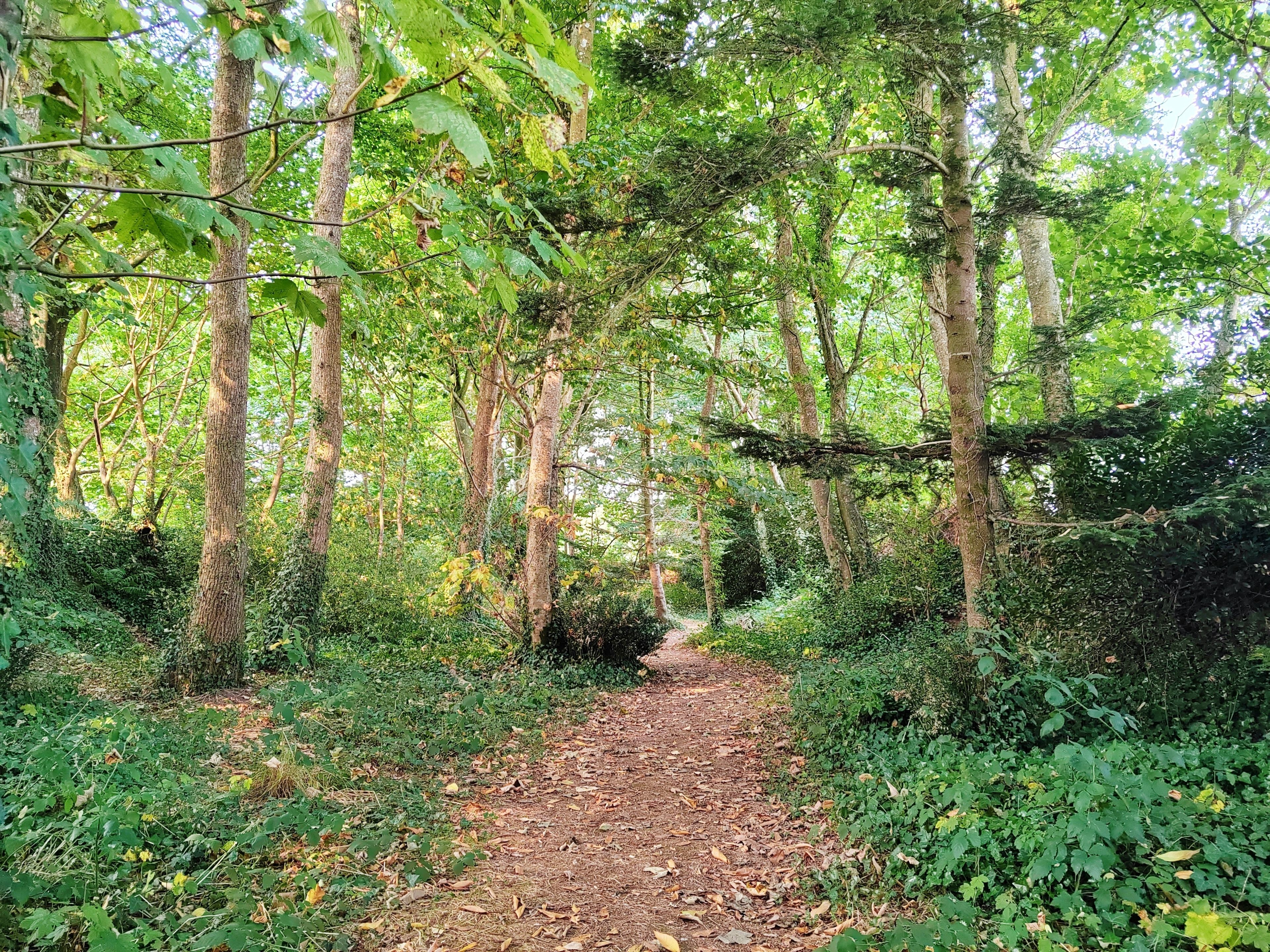 Visite libre du parc