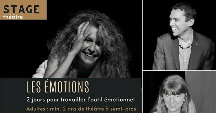 Stage de théâtre : Les émotions - Cie Slash