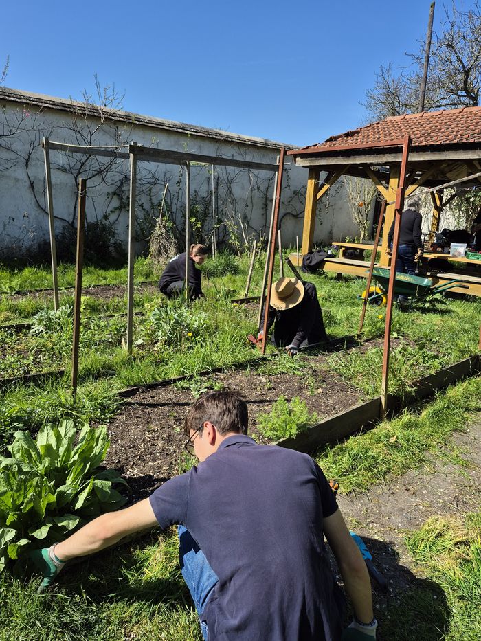 Ateliers gratuits au jardin des Murs à pêches de Culture(s) en herbe(s)