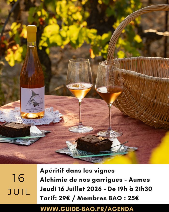 Apéritif au milieu des vignes à Aumes / Pézenas