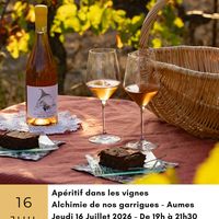 Apéritif au milieu des vignes à Aumes / Pézenas