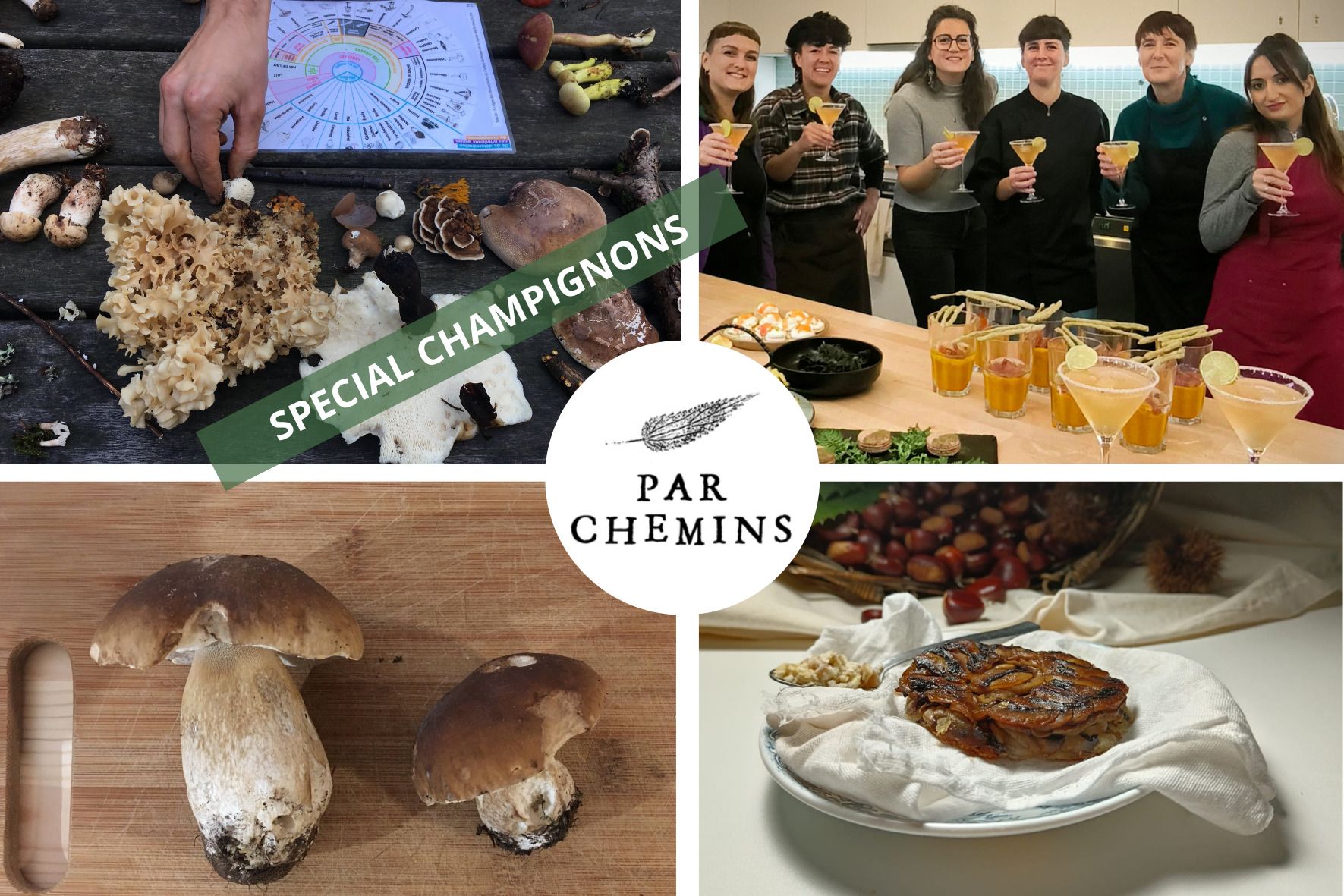 Champignons sauvages en forêt : journée immersive
