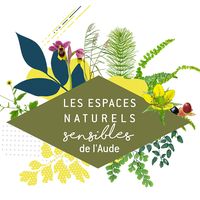 ENS - Des chauves-souris et des forêts