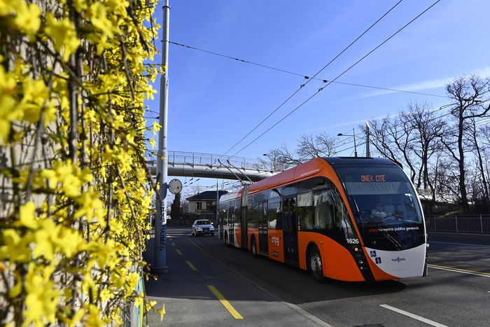Atelier numérique : Comment utiliser les applications de transport en commun ?