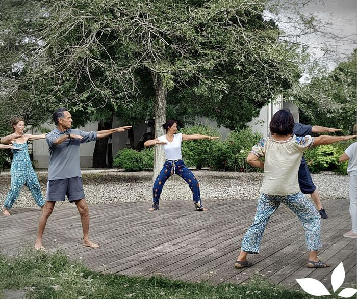 Qi Gong en plein air