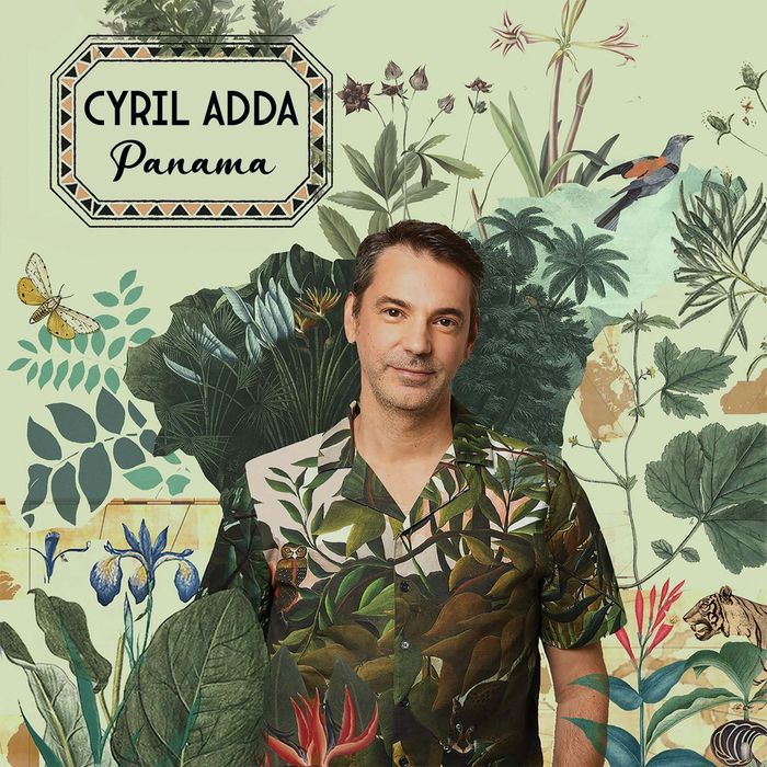 Affiche — Soirée de présentation saison culturelle + concert "Cyril ADDA"