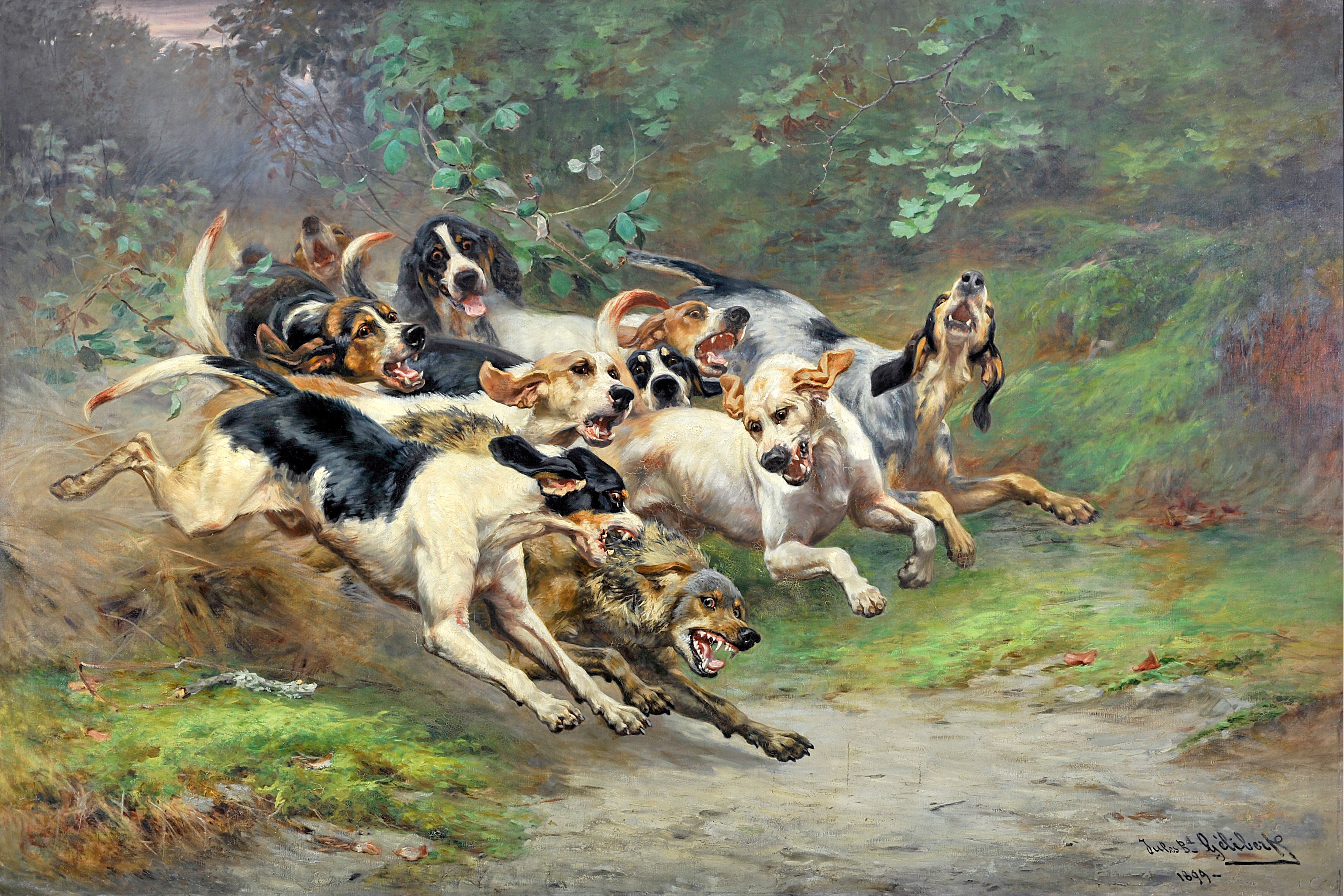 Visite indocile : Halte aux idées reçues sur le musée de la Vénerie !