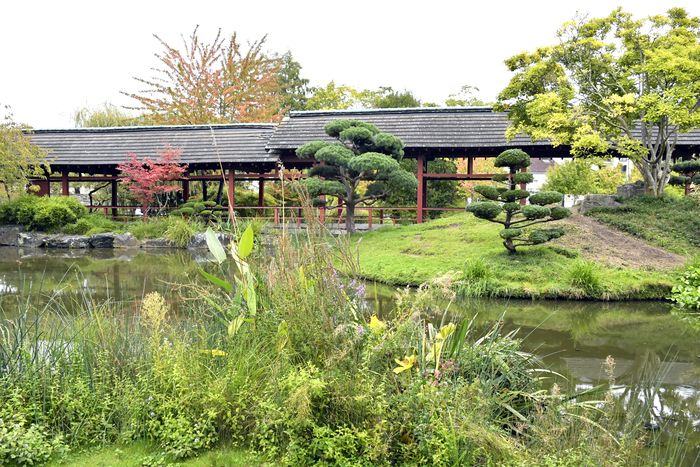 Le jardin japonais de l'Île de Versailles