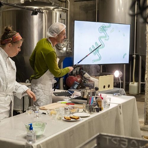 Les microbes ont-ils bon goût ?