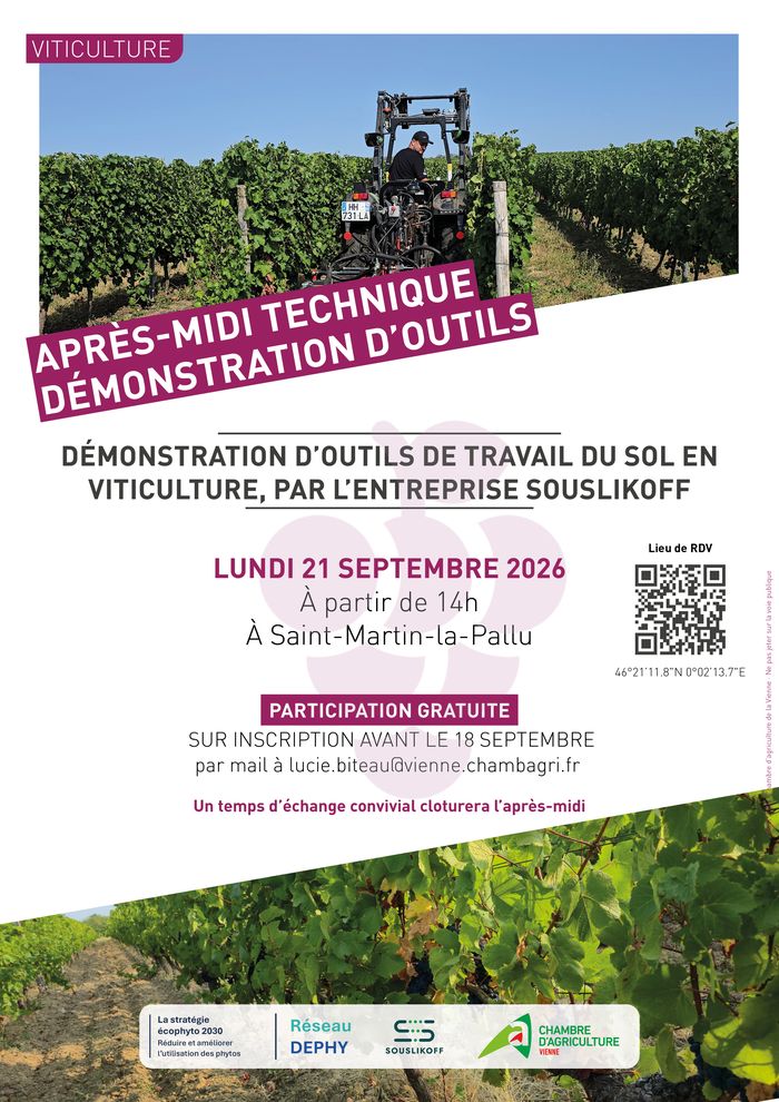 Après-midi technique en viticulture