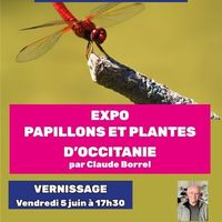 Vernissage  "Papillons & Plantes d'Occitanie" de Claude Borrel