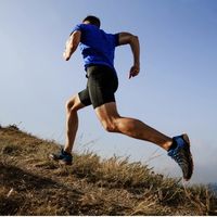 Solidari'Run