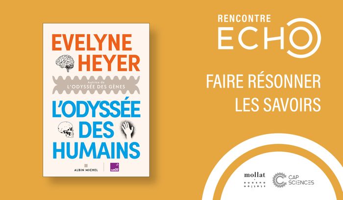 Rencontre ECHO avec Evelyne Heyer le 10 novembre 2026