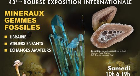 43ème bourse aux minéraux, fossiles et gemmes