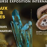 43ème bourse aux minéraux, fossiles et gemmes