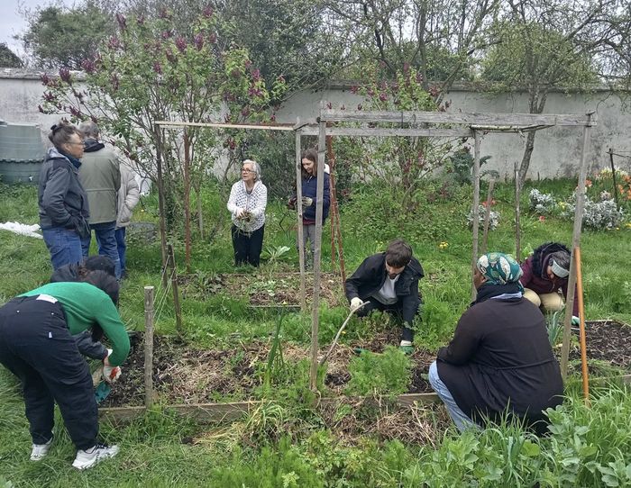 Venez nous aider à réparer nos bacs de cultures, afin de préparer notre jardin pour l'hiver aux murs à pêches !