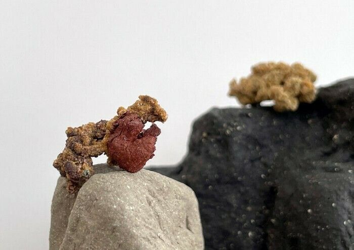Aubes souterraines – Exposition d’Hélène Delépine
