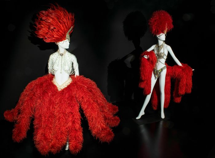 Visite commentée : HAUTE VOLTIGE. Œuvres en plume de Maxime Leroy